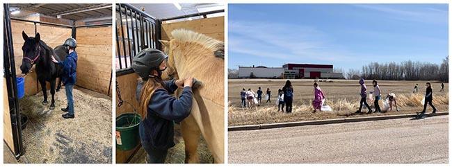 horses and community clean-up